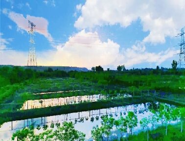 【六五環境日】綠色低碳、豐富多彩，各地開展不同形式環境日宣傳活動